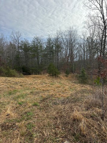 Image for 71 HERRINGTON RD Pikeville TN 37367