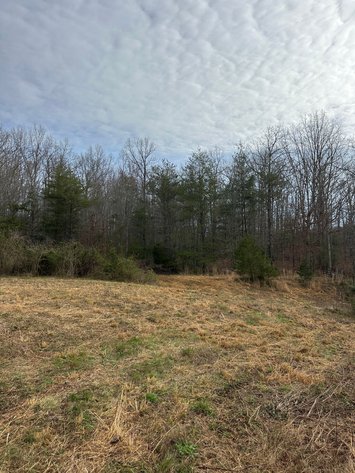 Image for 71 HERRINGTON RD Pikeville TN 37367