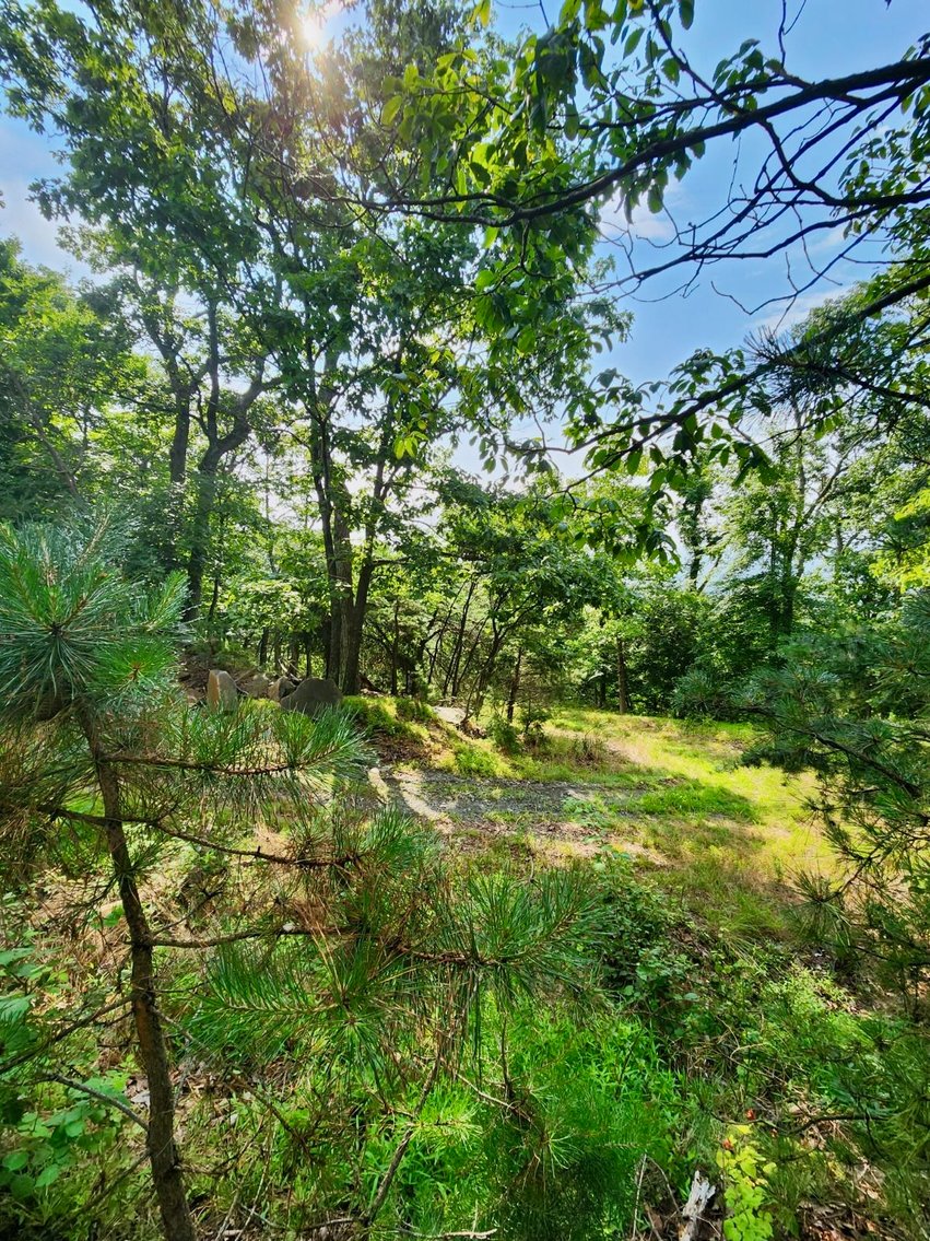 Image for 2 Lots Totaling 1.12 +/- Acres w/AMAZING Views on Top of Bull Run Mountain in Prince William County, VA--SELLING to the HIGHEST BIDDER via ONLINE ONLY BIDDING!!