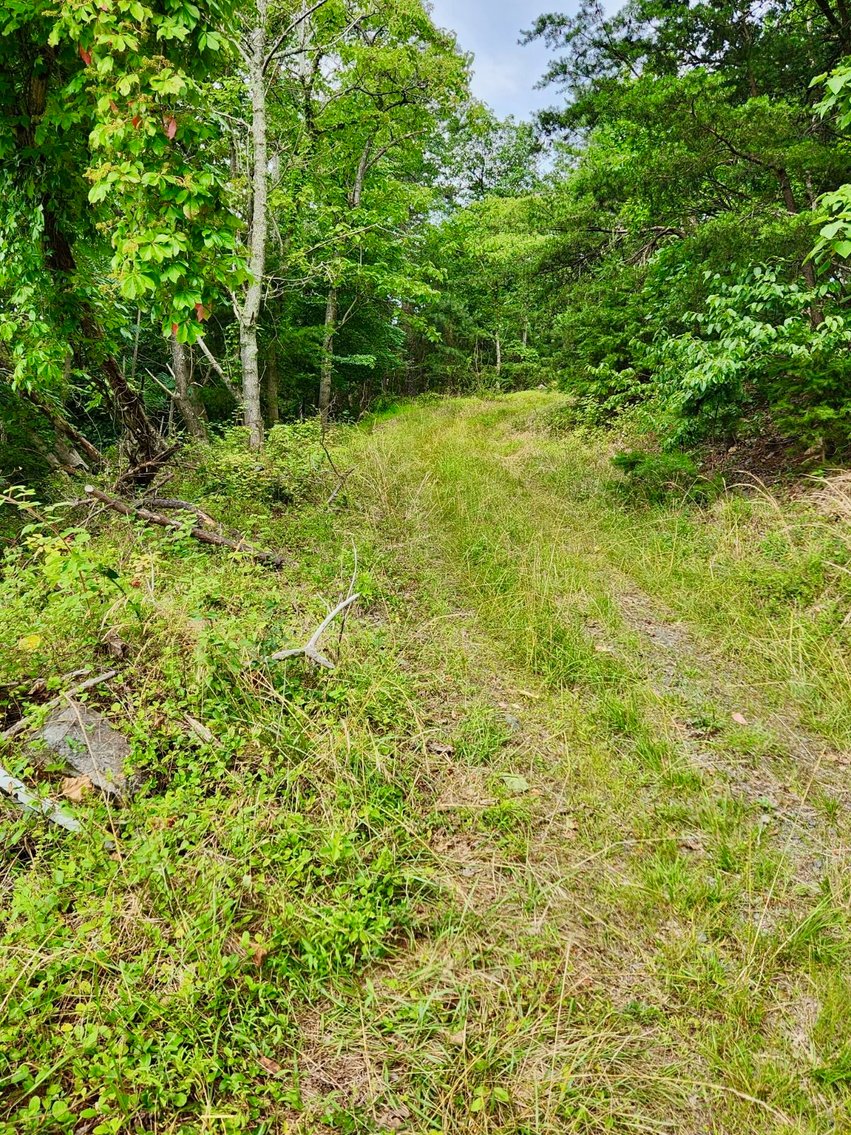 Image for 2 Lots Totaling 1.12 +/- Acres w/AMAZING Views on Top of Bull Run Mountain in Prince William County, VA--SELLING to the HIGHEST BIDDER via ONLINE ONLY BIDDING!!