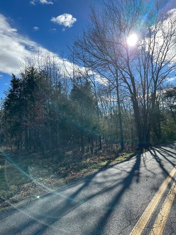 Image for 1 +/- Acre Spotsylvania County Lot Close to Retail, Schools, Rt. 3 & I-95--SELLING to the HIGHEST BIDDER via ONLINE BIDDING!!