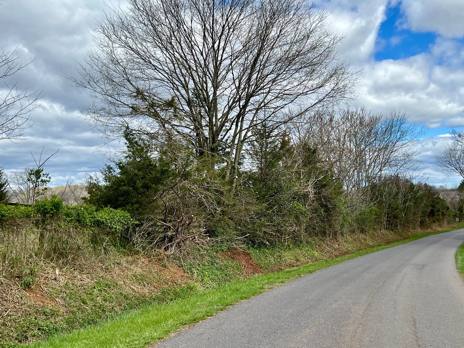 Image for 77.09 +/- Acre Parcel w/3,400' +/- of Total Road Frontage on 2 Roads, Barn/Outbuildings & Mountain Views in Culpeper County, VA--SELLING to the HIGHEST BIDDER!!