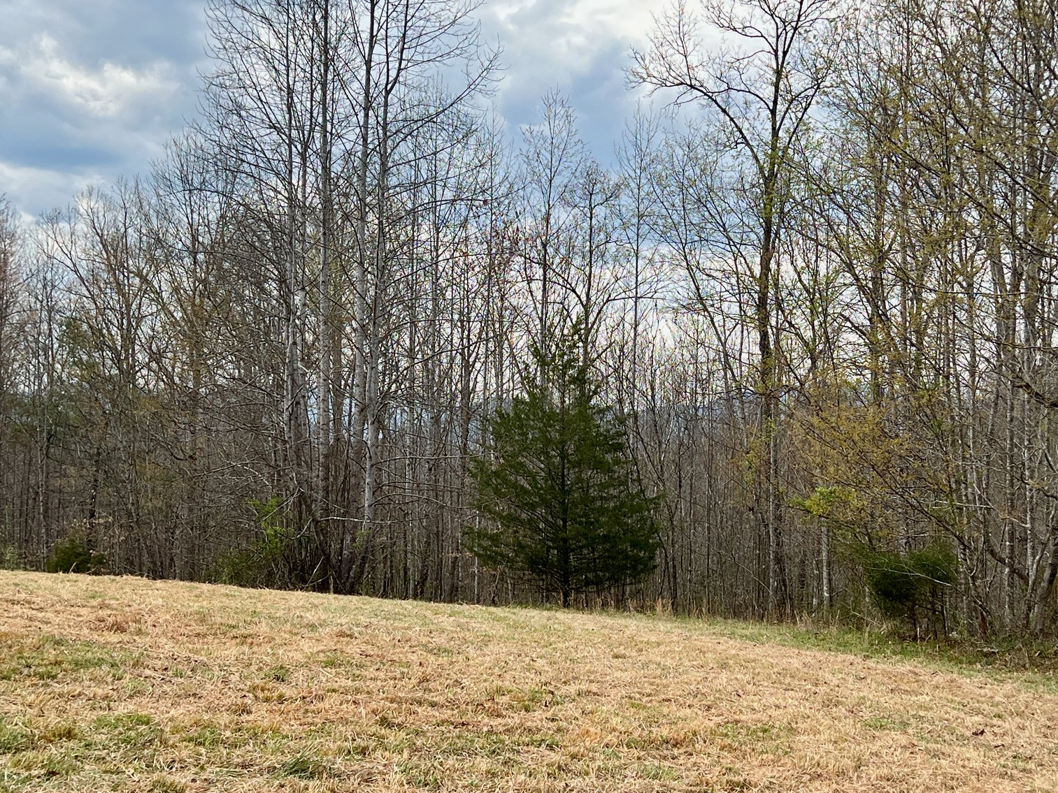 Image for 10.43 +/- Aces w/Large Barn & Well in Greene County, VA--SELLING to the HIGHEST BIDDER via ONLINE ONLY BIDDING!!