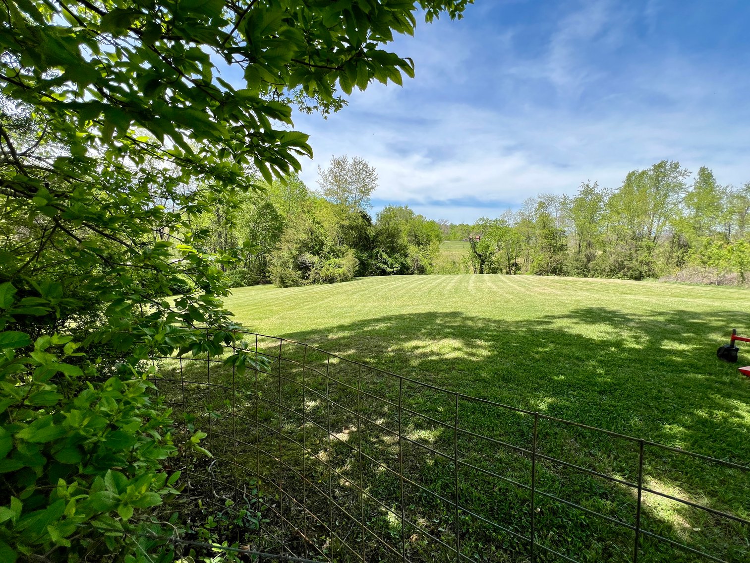 Image for 3 BR/1 BA Home w/Garage/Shop on 7 +/- Acres in Madison County, VA