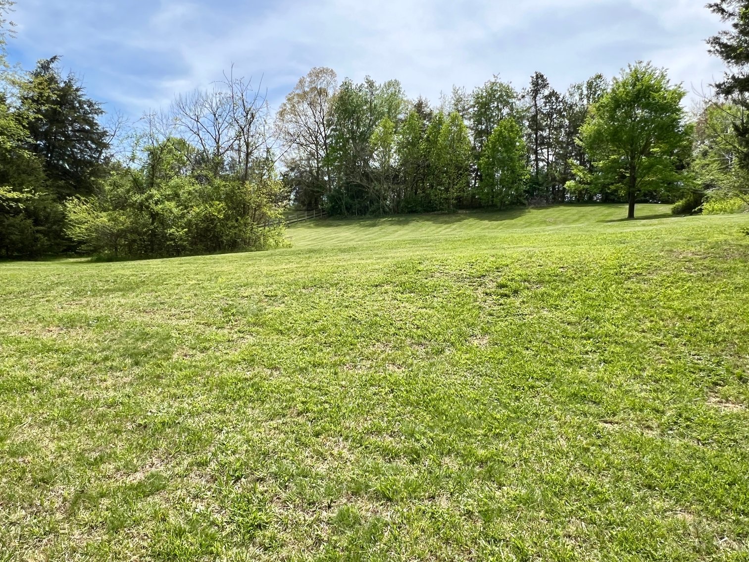 Image for 3 BR/1 BA Home w/Garage/Shop on 7 +/- Acres in Madison County, VA