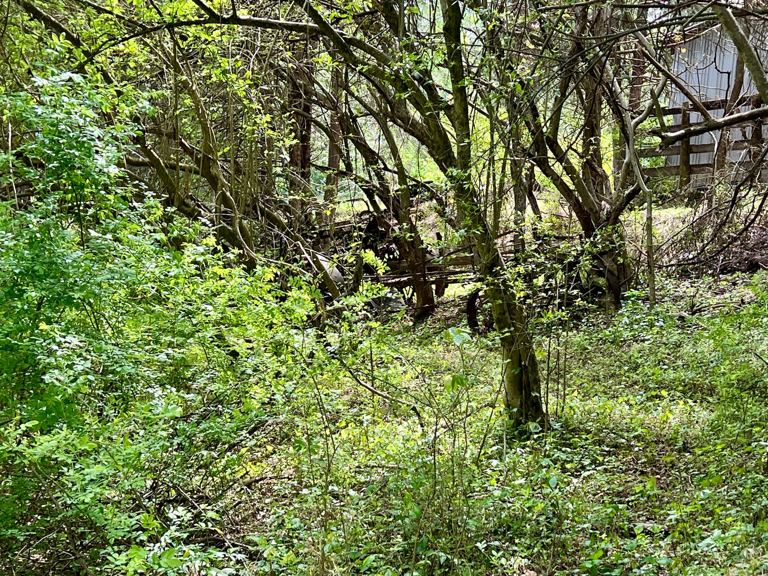 Image for 3 BR/1 BA Home w/Garage/Shop on 7 +/- Acres in Madison County, VA