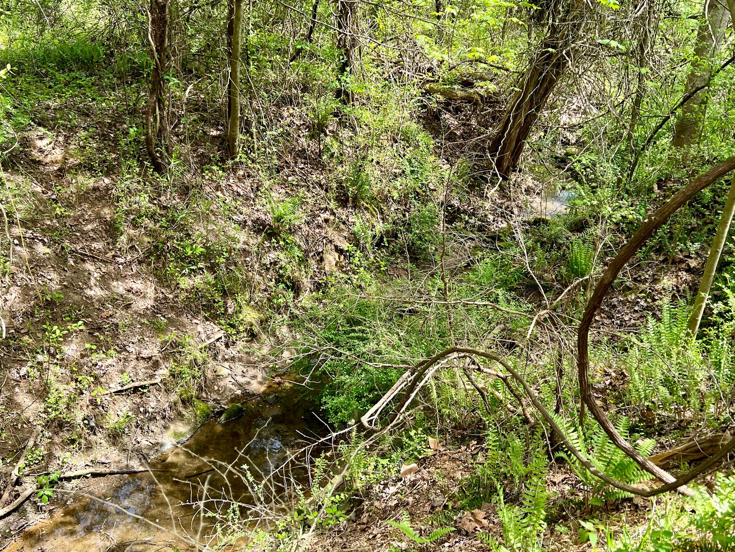 Image for 3 BR/1 BA Home w/Garage/Shop on 7 +/- Acres in Madison County, VA