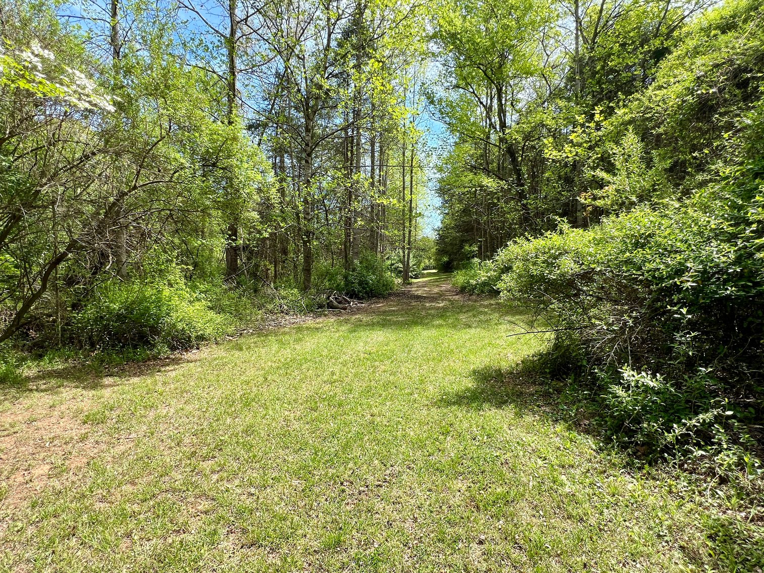 Image for 3 BR/1 BA Home w/Garage/Shop on 7 +/- Acres in Madison County, VA