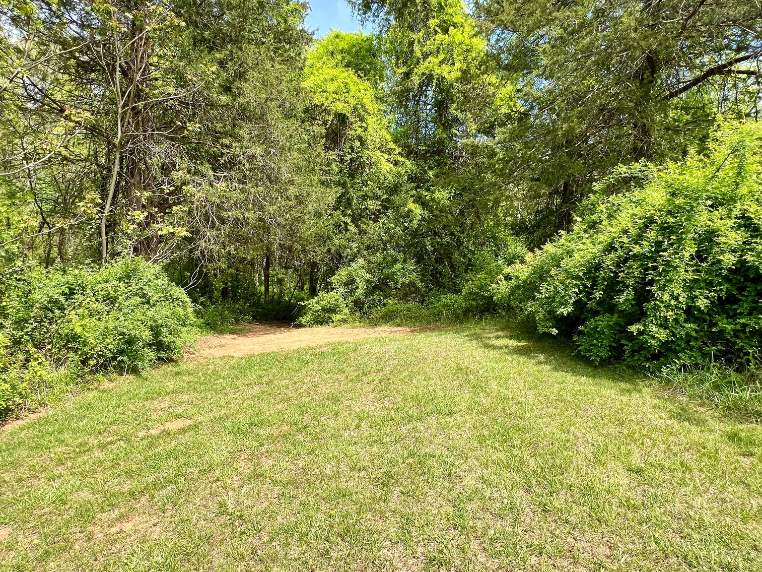 Image for 3 BR/1 BA Home w/Garage/Shop on 7 +/- Acres in Madison County, VA