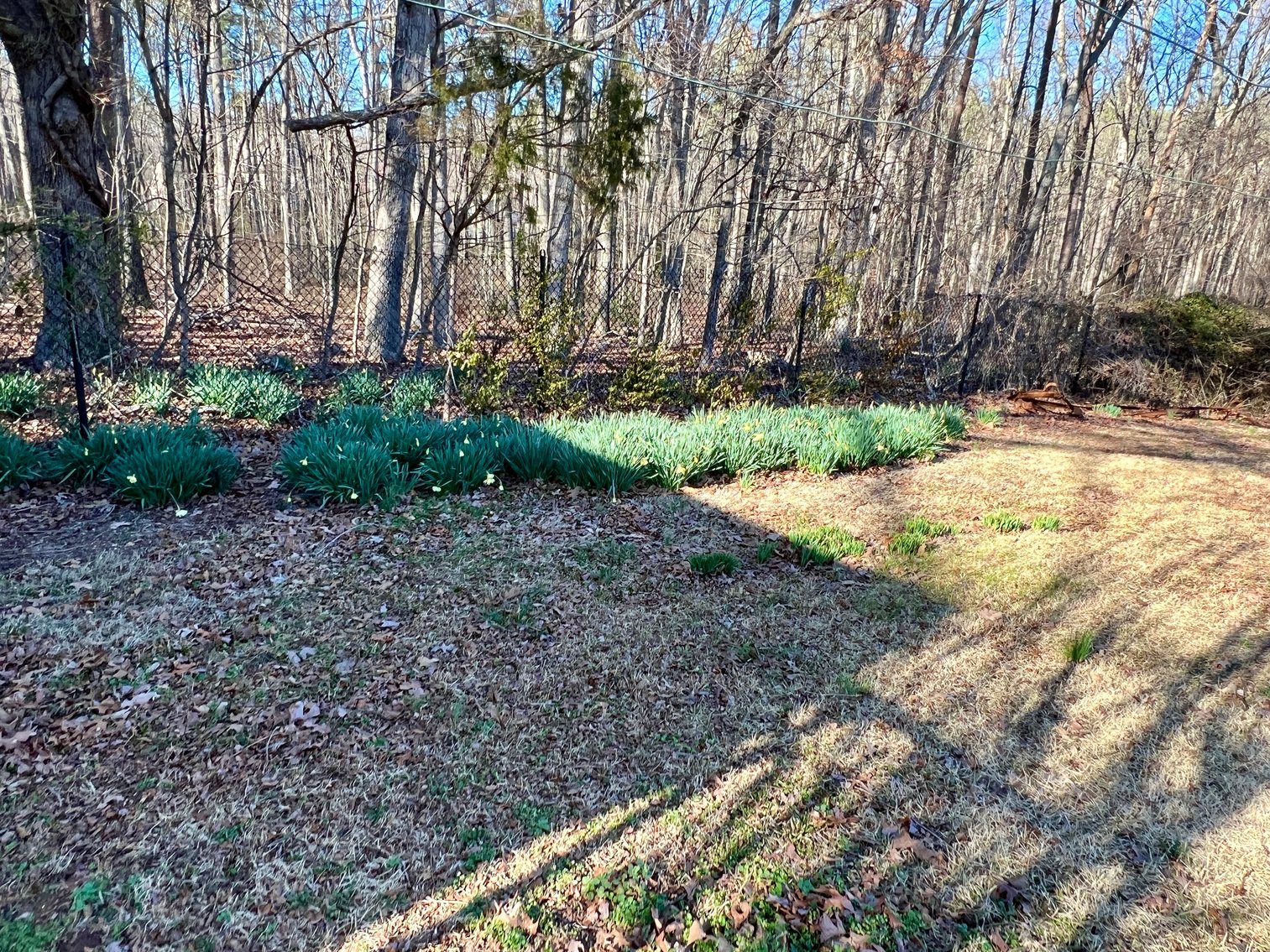 Image for 3 BR/2 BA Home on .29 +/- Acre Lot in Spotsylvania County, VA