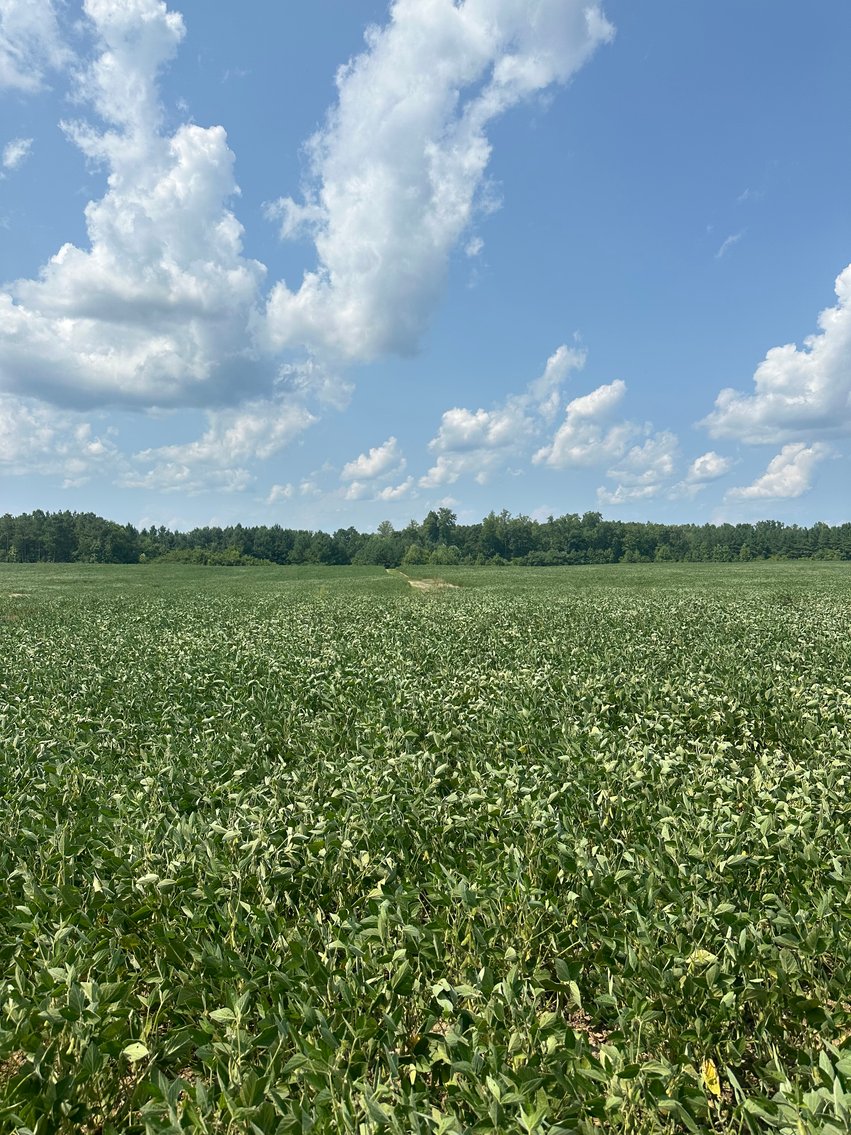 Image for 1,600 +/- Acres w/5 +/- Miles of South Anna River Frontage, 6 miles from I-64 & 30 Miles From Charlottesville & Short Pump, VA--Louisa County, VA