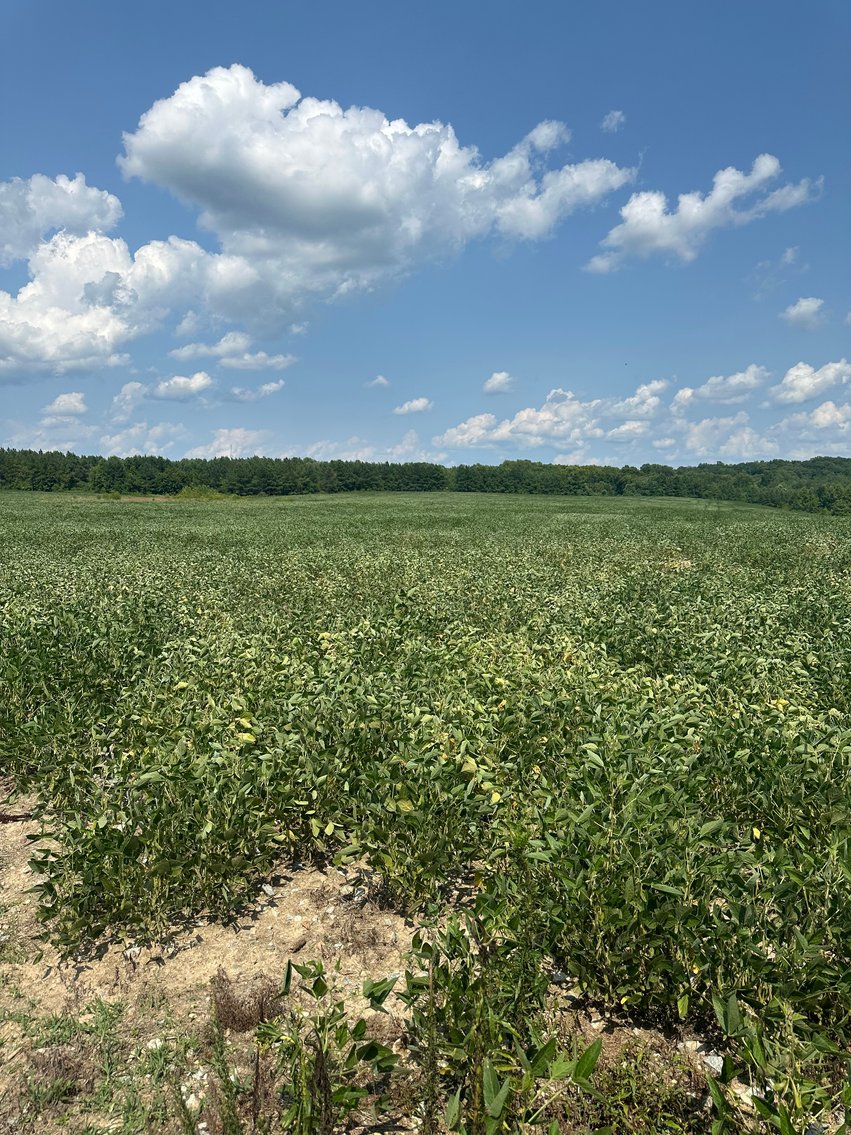 Image for 1,600 +/- Acres w/5 +/- Miles of South Anna River Frontage, 6 miles from I-64 & 30 Miles From Charlottesville & Short Pump, VA--Louisa County, VA