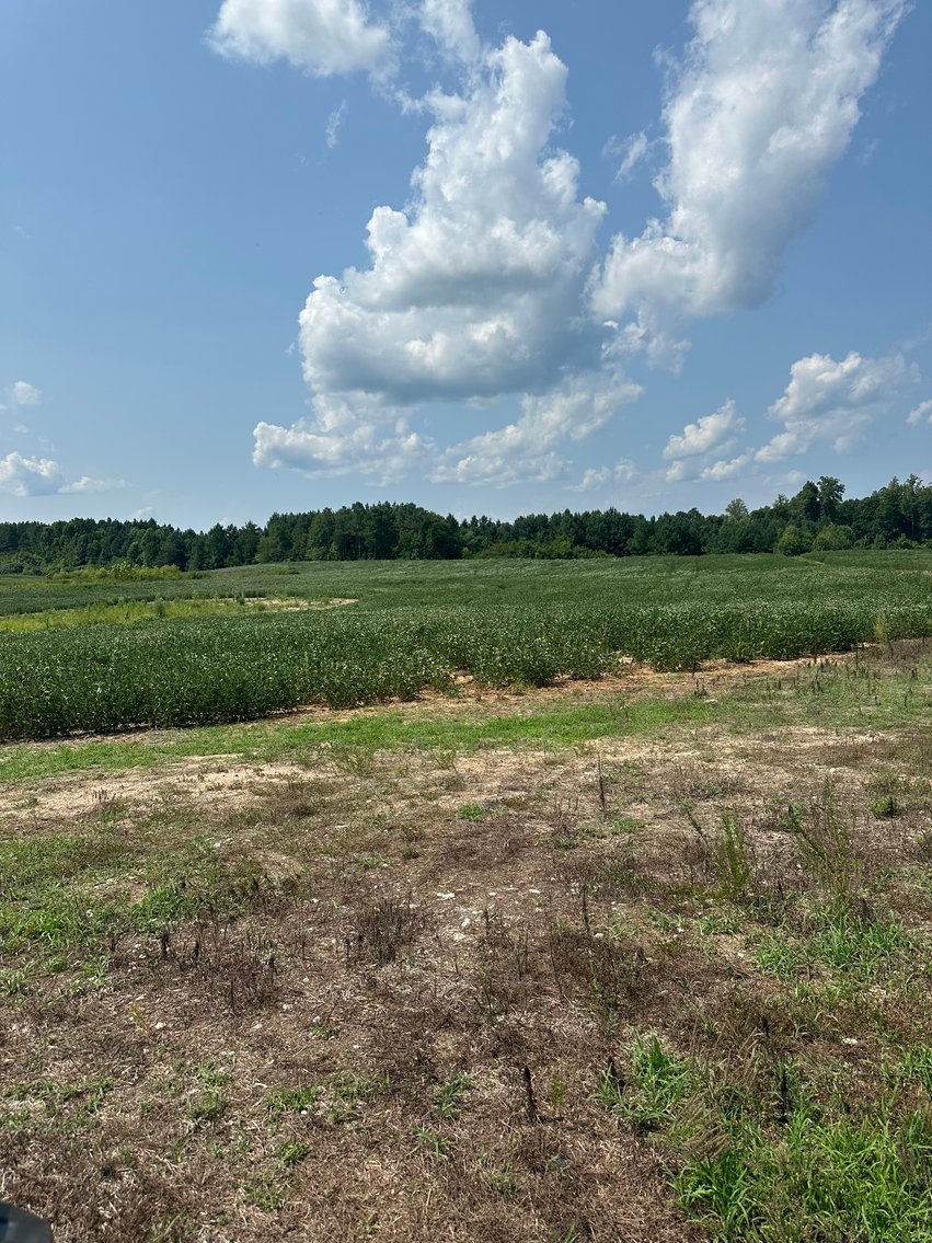 Image for 1,600 +/- Acres w/5 +/- Miles of South Anna River Frontage, 6 miles from I-64 & 30 Miles From Charlottesville & Short Pump, VA--Louisa County, VA