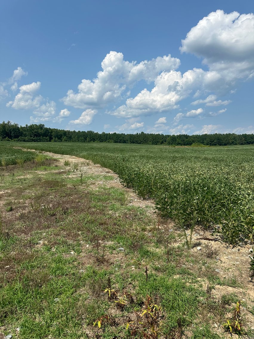 Image for 1,600 +/- Acres w/5 +/- Miles of South Anna River Frontage, 6 miles from I-64 & 30 Miles From Charlottesville & Short Pump, VA--Louisa County, VA