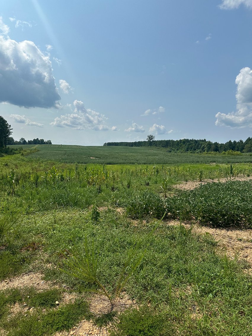 Image for 1,600 +/- Acres w/5 +/- Miles of South Anna River Frontage, 6 miles from I-64 & 30 Miles From Charlottesville & Short Pump, VA--Louisa County, VA