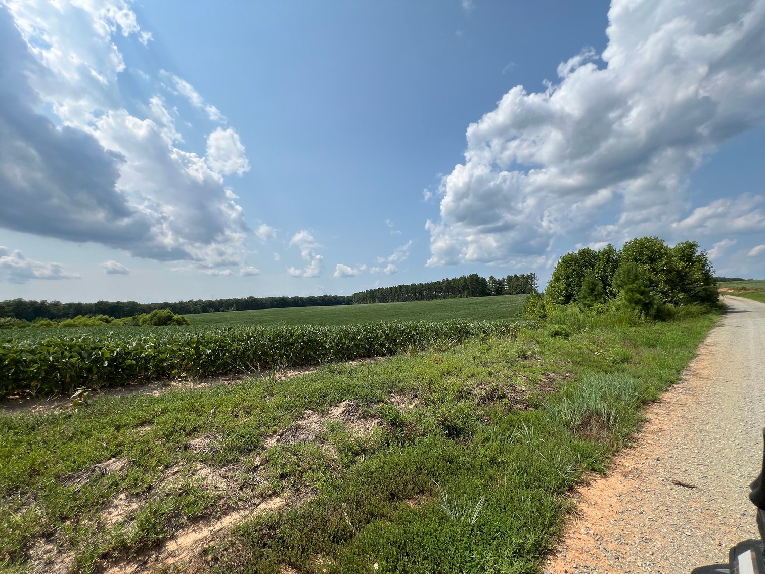 Image for 1,600 +/- Acres w/5 +/- Miles of South Anna River Frontage, 6 miles from I-64 & 30 Miles From Charlottesville & Short Pump, VA--Louisa County, VA