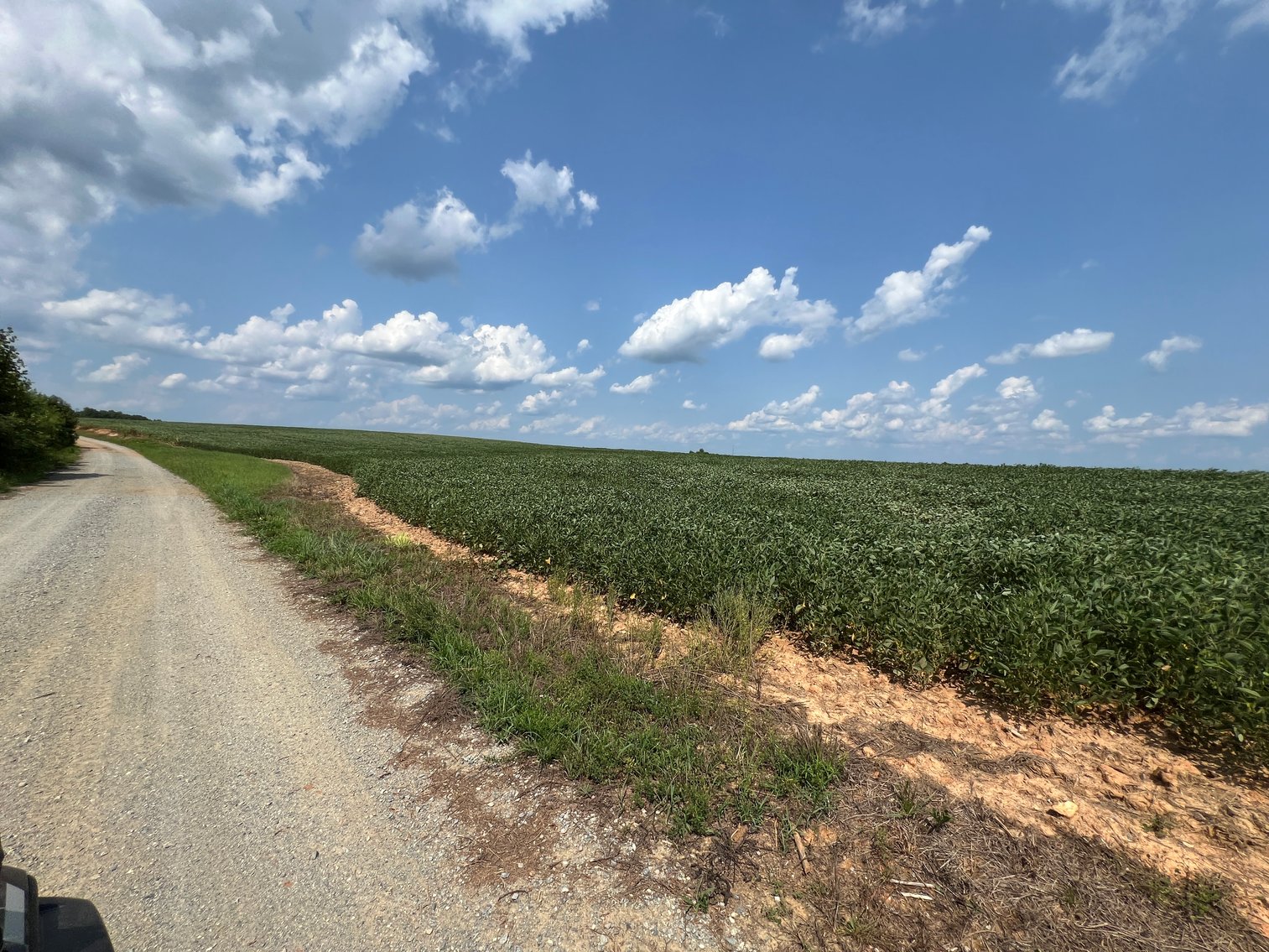 Image for 1,600 +/- Acres w/5 +/- Miles of South Anna River Frontage, 6 miles from I-64 & 30 Miles From Charlottesville & Short Pump, VA--Louisa County, VA