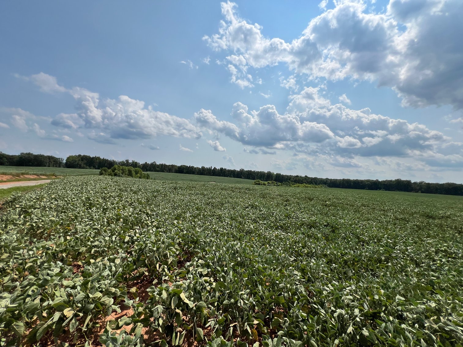 Image for 1,600 +/- Acres w/5 +/- Miles of South Anna River Frontage, 6 miles from I-64 & 30 Miles From Charlottesville & Short Pump, VA--Louisa County, VA