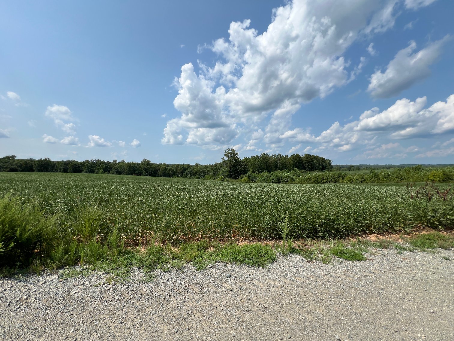 Image for 1,600 +/- Acres w/5 +/- Miles of South Anna River Frontage, 6 miles from I-64 & 30 Miles From Charlottesville & Short Pump, VA--Louisa County, VA