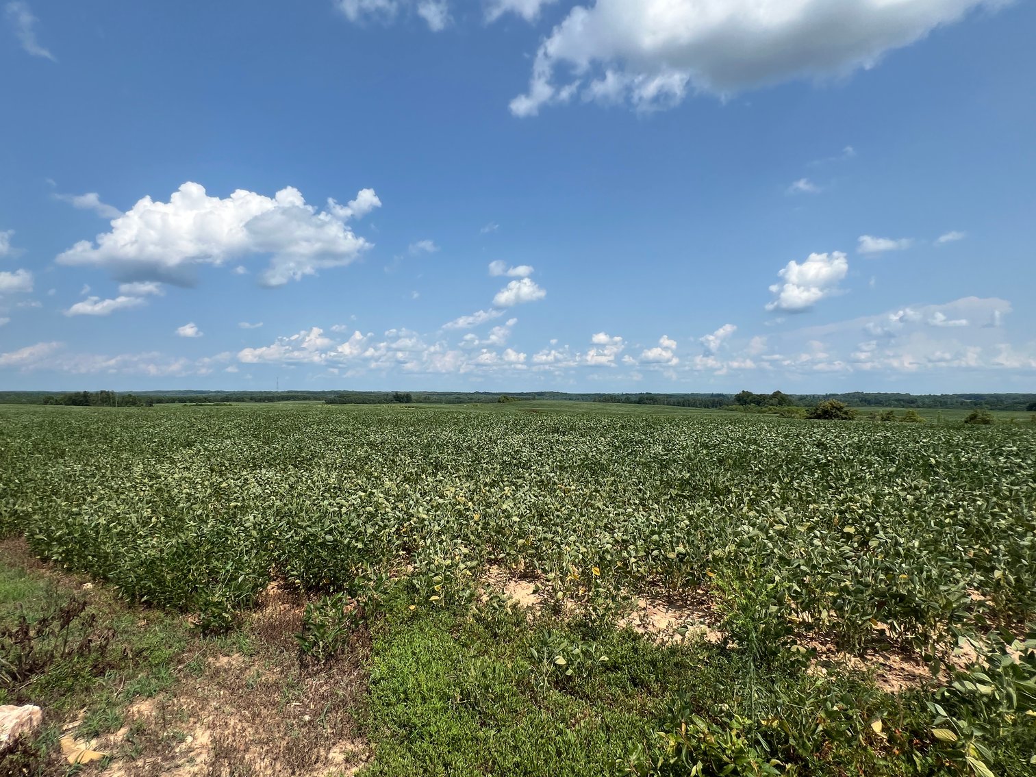 Image for 1,600 +/- Acres w/5 +/- Miles of South Anna River Frontage, 6 miles from I-64 & 30 Miles From Charlottesville & Short Pump, VA--Louisa County, VA