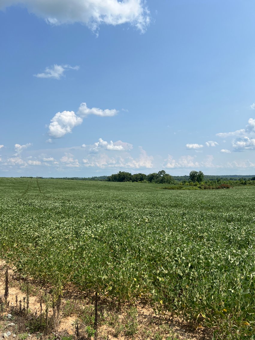 Image for 1,600 +/- Acres w/5 +/- Miles of South Anna River Frontage, 6 miles from I-64 & 30 Miles From Charlottesville & Short Pump, VA--Louisa County, VA