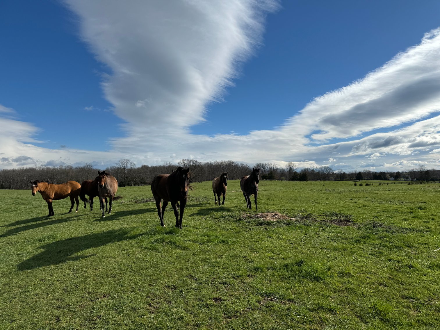 Image for 33.16± Acre Farm in Berryville, VA!
