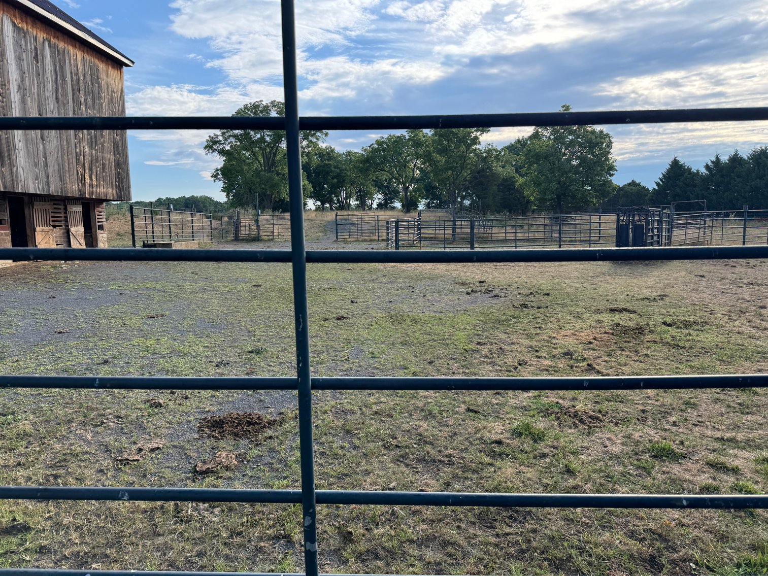 Image for 33.16± Acre Farm in Berryville, VA!