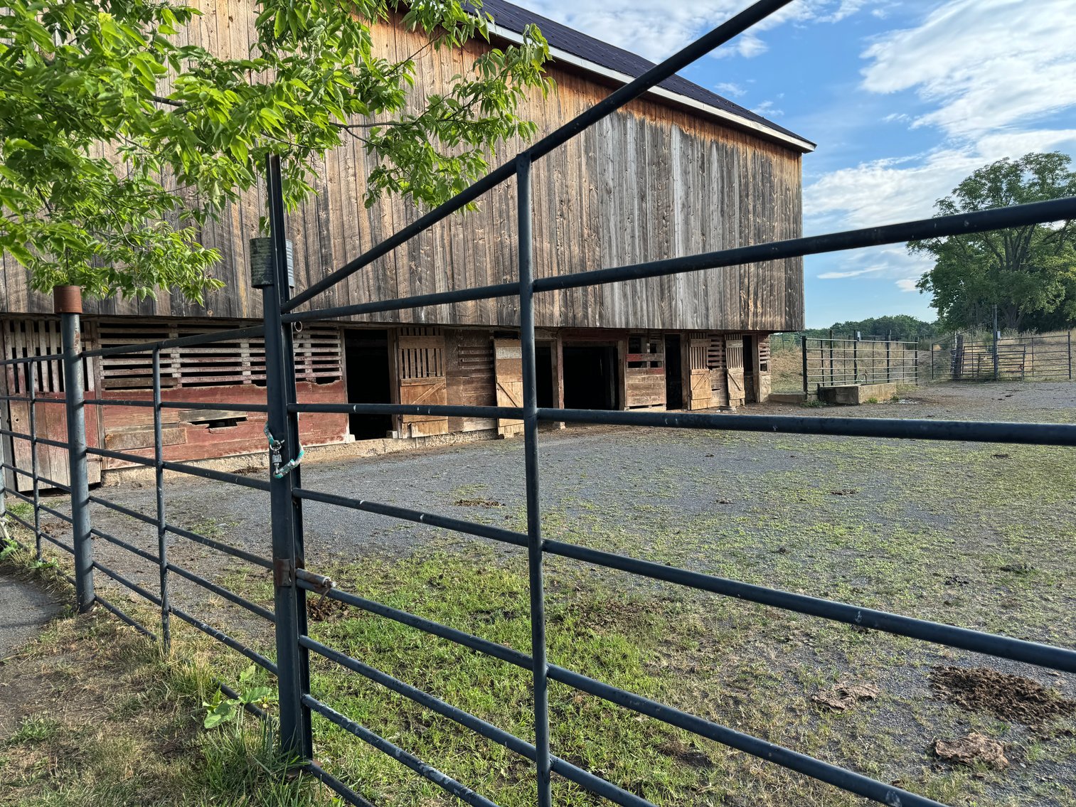 Image for 33.16± Acre Farm in Berryville, VA!