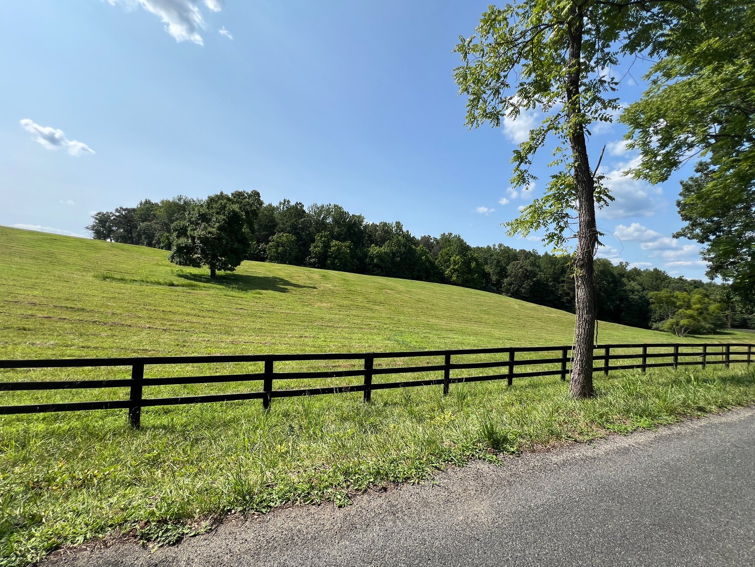 Image for 5.03 +/- Acre Wooded Land Parcel w/240' +/- of Road Frontage in Culpeper County, VA--ONLINE ONLY BIDDING!!