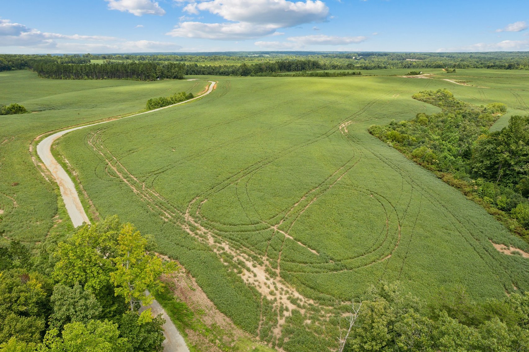 Image for 1,600 +/- Acres w/5 +/- Miles of South Anna River Frontage, 6 miles from I-64 & 30 Miles From Charlottesville & Short Pump, VA--Louisa County, VA