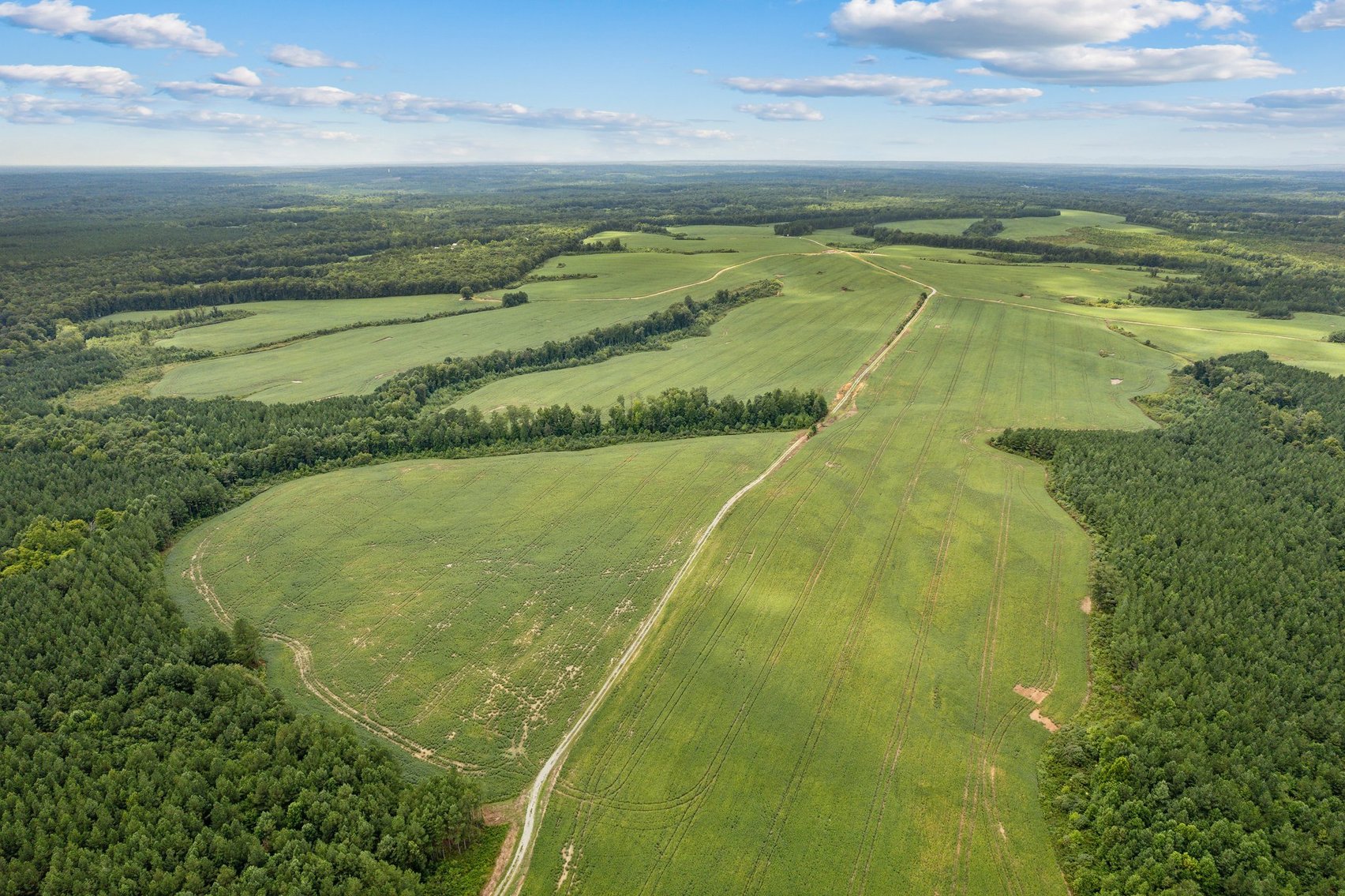 Image for 1,600 +/- Acres w/5 +/- Miles of South Anna River Frontage, 6 miles from I-64 & 30 Miles From Charlottesville & Short Pump, VA--Louisa County, VA