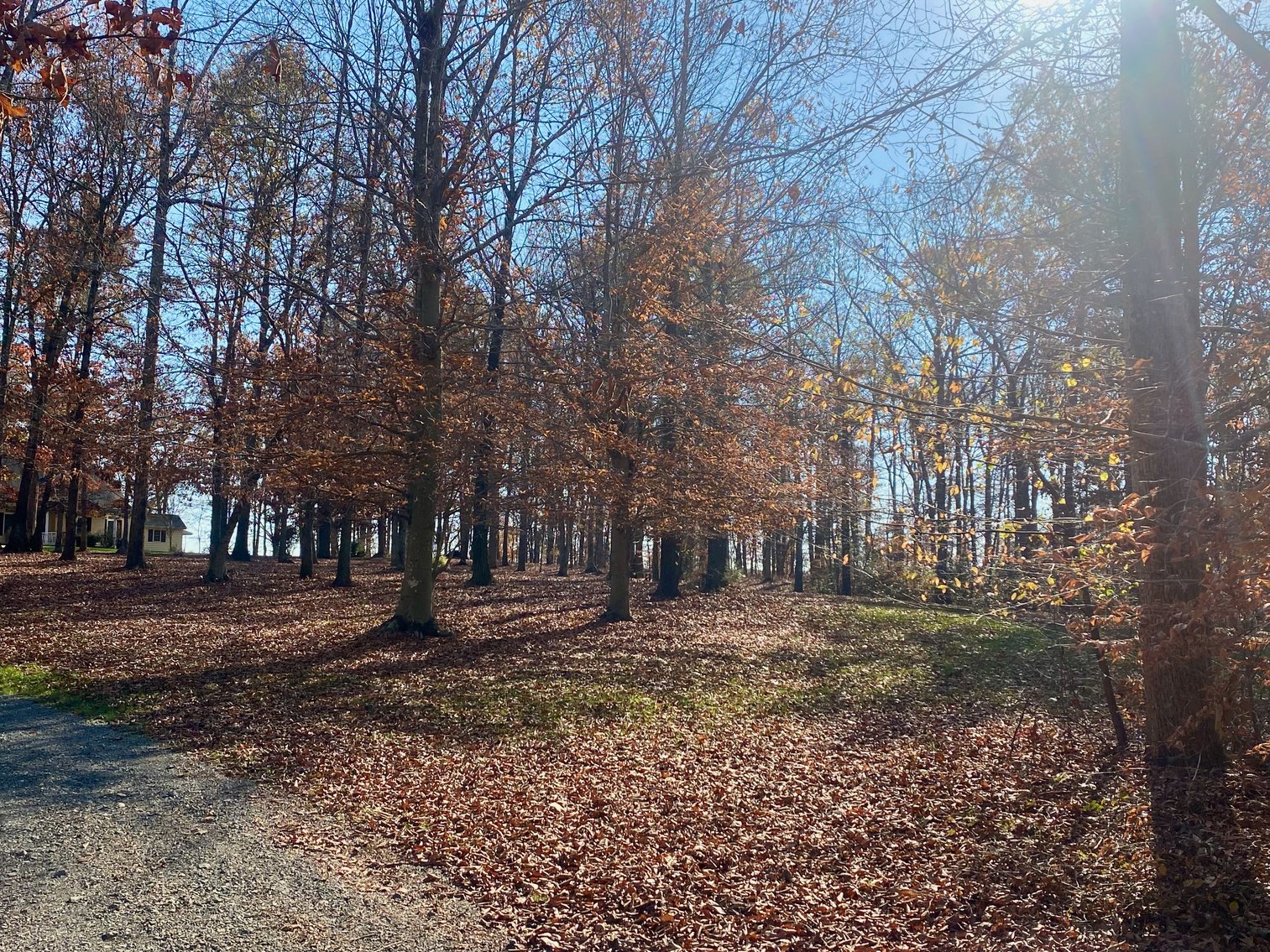 Image for 3 BR/3.5 BA Custom Home w/Walk-Out Basement, Large Shop/Garage & More on 7.6 +/- Acres in Orange County, VA