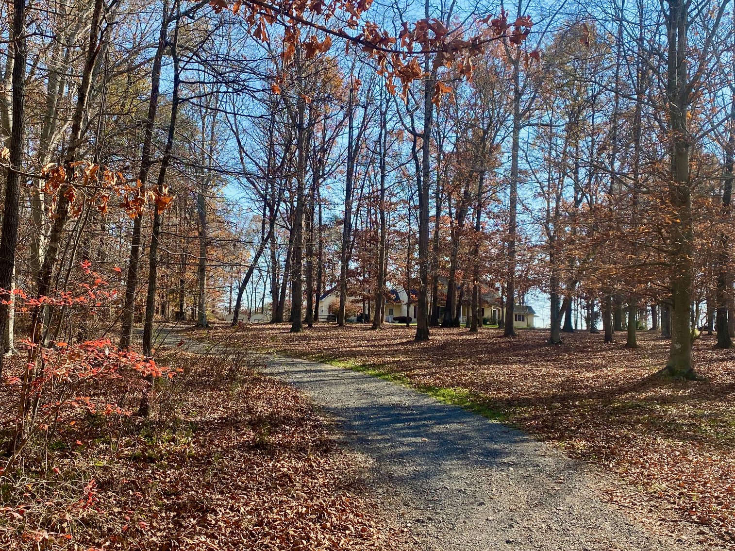 Image for 3 BR/3.5 BA Custom Home w/Walk-Out Basement, Large Shop/Garage & More on 7.6 +/- Acres in Orange County, VA