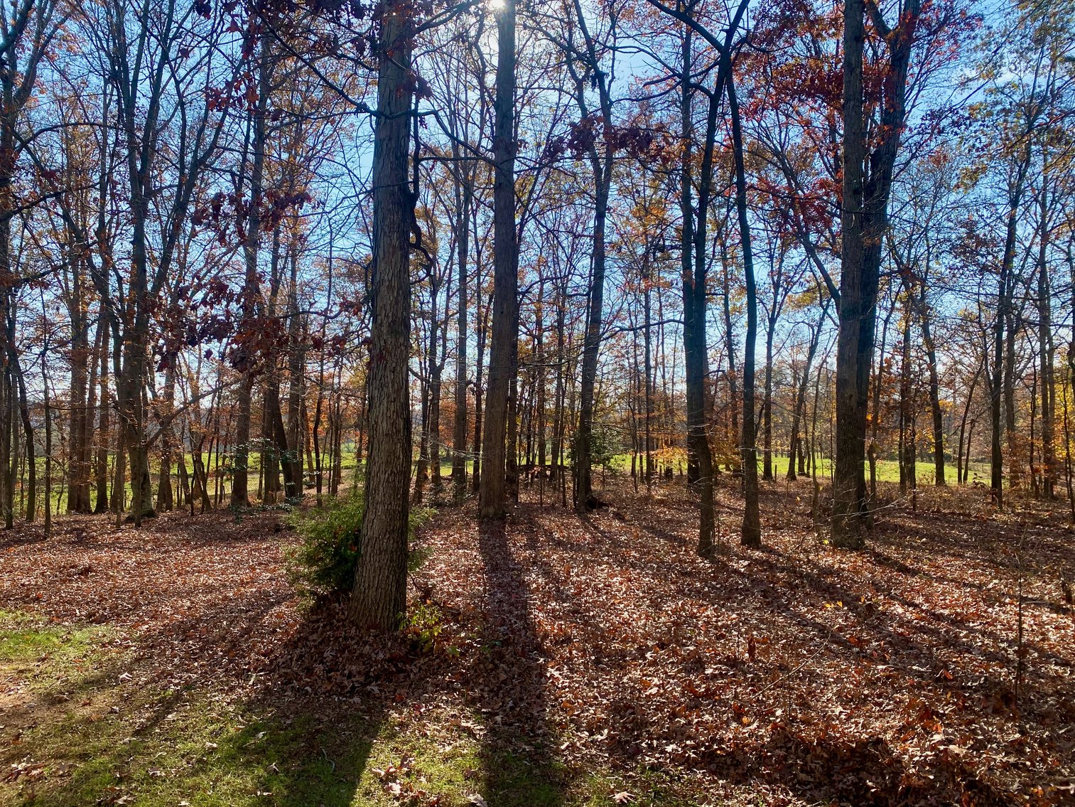 Image for 3 BR/3.5 BA Custom Home w/Walk-Out Basement, Large Shop/Garage & More on 7.6 +/- Acres in Orange County, VA