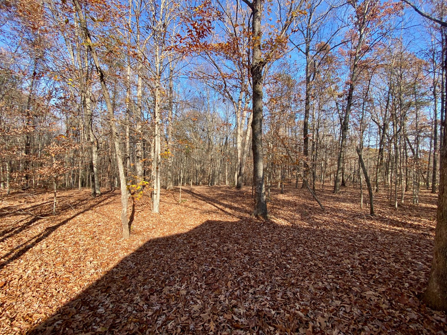 Image for 3 BR/3.5 BA Custom Home w/Walk-Out Basement, Large Shop/Garage & More on 7.6 +/- Acres in Orange County, VA