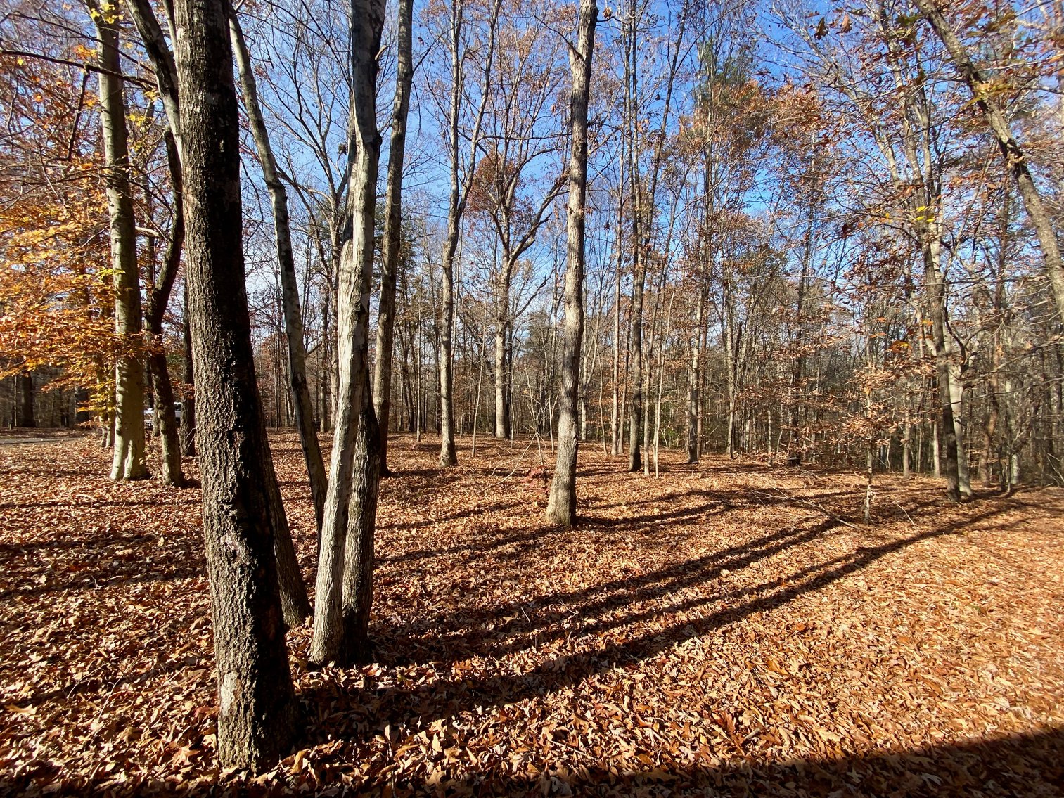 Image for 3 BR/3.5 BA Custom Home w/Walk-Out Basement, Large Shop/Garage & More on 7.6 +/- Acres in Orange County, VA