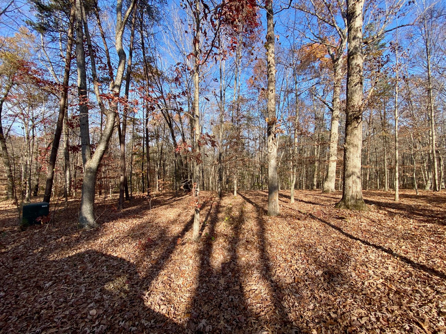 Image for 3 BR/3.5 BA Custom Home w/Walk-Out Basement, Large Shop/Garage & More on 7.6 +/- Acres in Orange County, VA