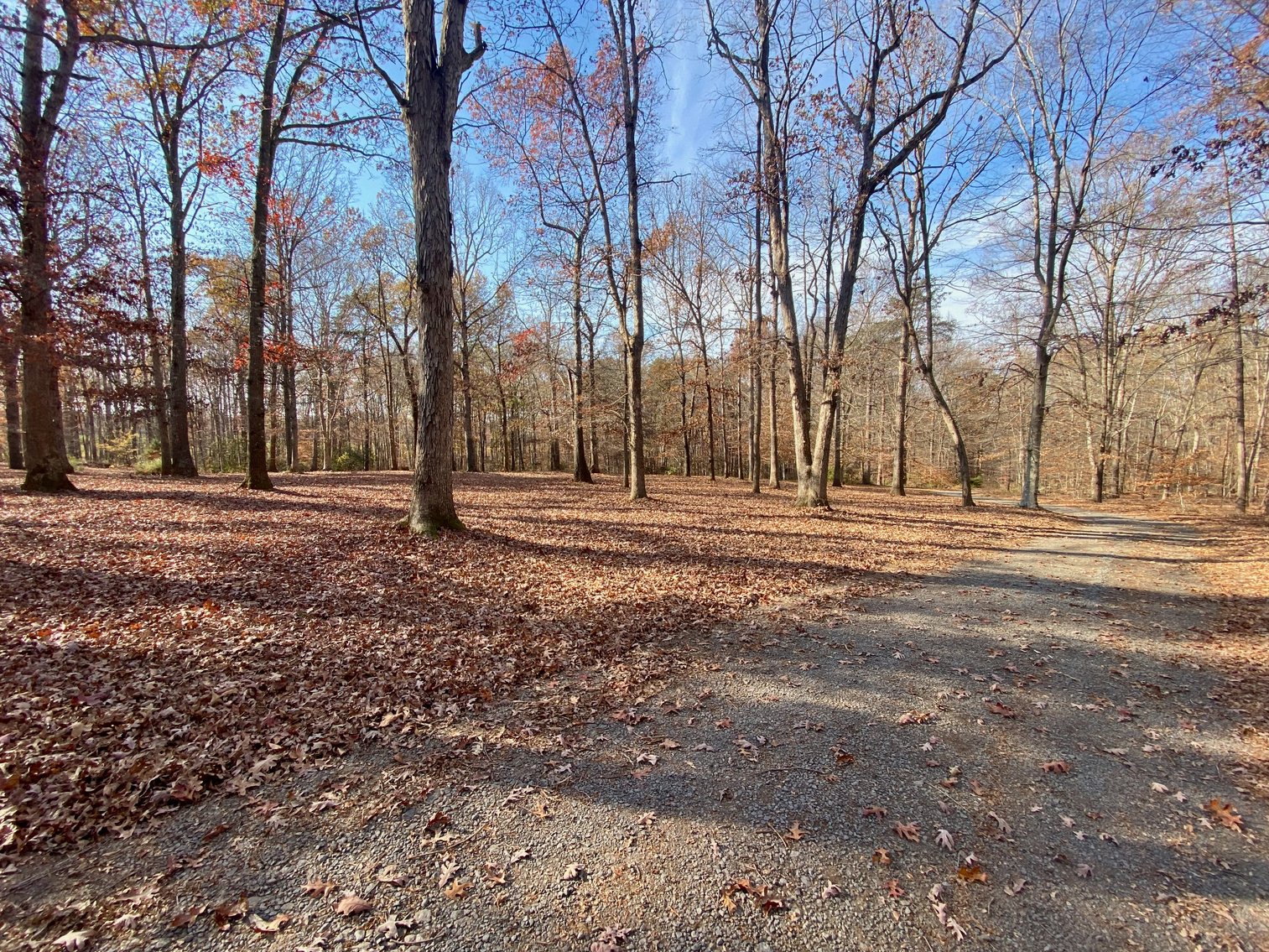 Image for 3 BR/3.5 BA Custom Home w/Walk-Out Basement, Large Shop/Garage & More on 7.6 +/- Acres in Orange County, VA