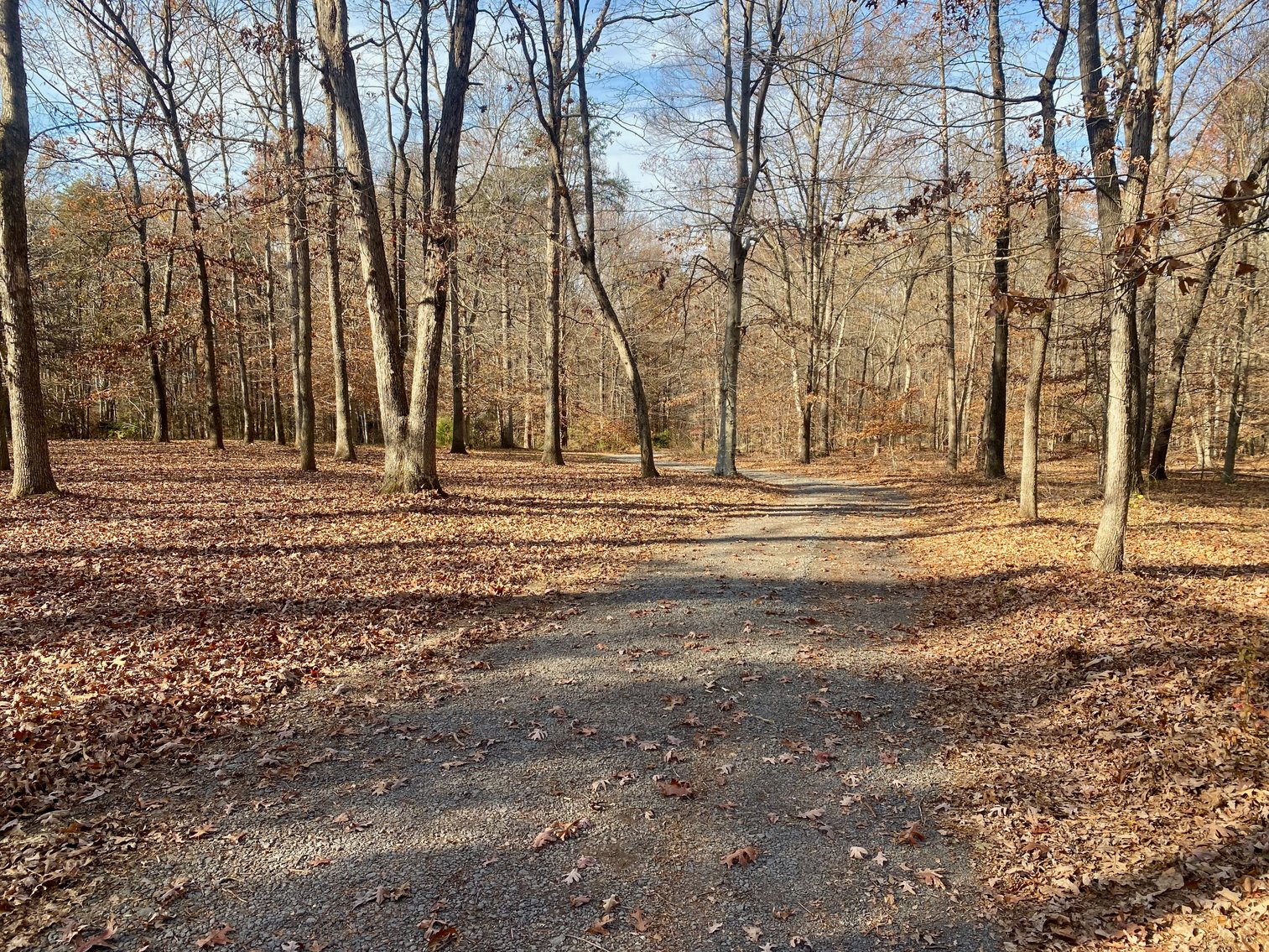 Image for 3 BR/3.5 BA Custom Home w/Walk-Out Basement, Large Shop/Garage & More on 7.6 +/- Acres in Orange County, VA