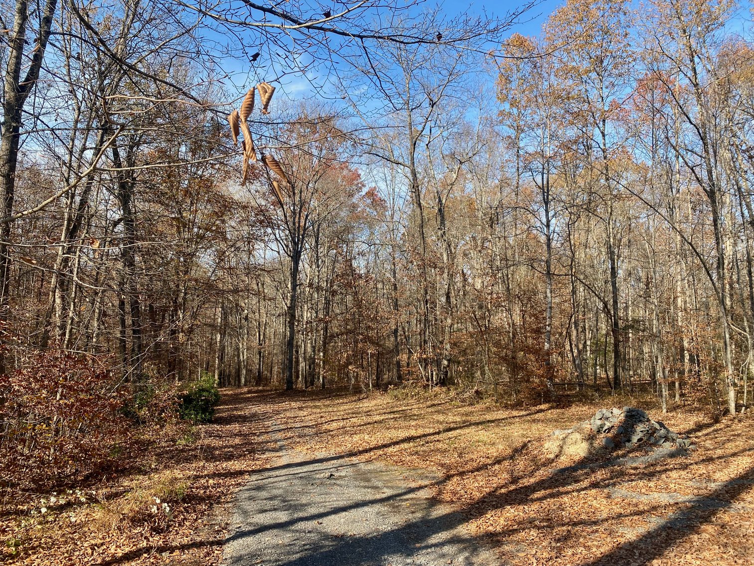 Image for 5.03 +/- Acre Land Parcel w/Mature Hardwoods in Orange County, VA