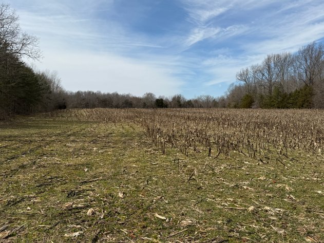 Image for 18 +/- Acre Estate Building Lot in Spotsylvania County, VA-- SELLING to the HIGHEST BIDDER via ONLINE ONLY BIDDING!!