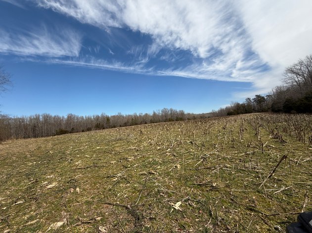 Image for 18 +/- Acre Estate Building Lot in Spotsylvania County, VA-- SELLING to the HIGHEST BIDDER via ONLINE ONLY BIDDING!!