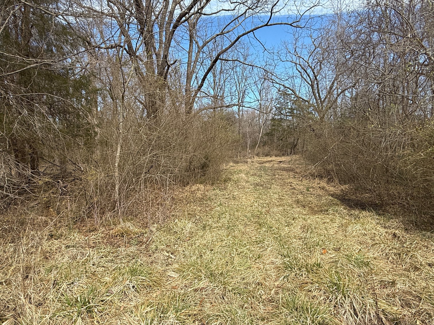 Image for 50 +/- Acre Estate Building Lot in Spotsylvania County, VA-- SELLING to the HIGHEST BIDDER via ONLINE ONLY BIDDING!!