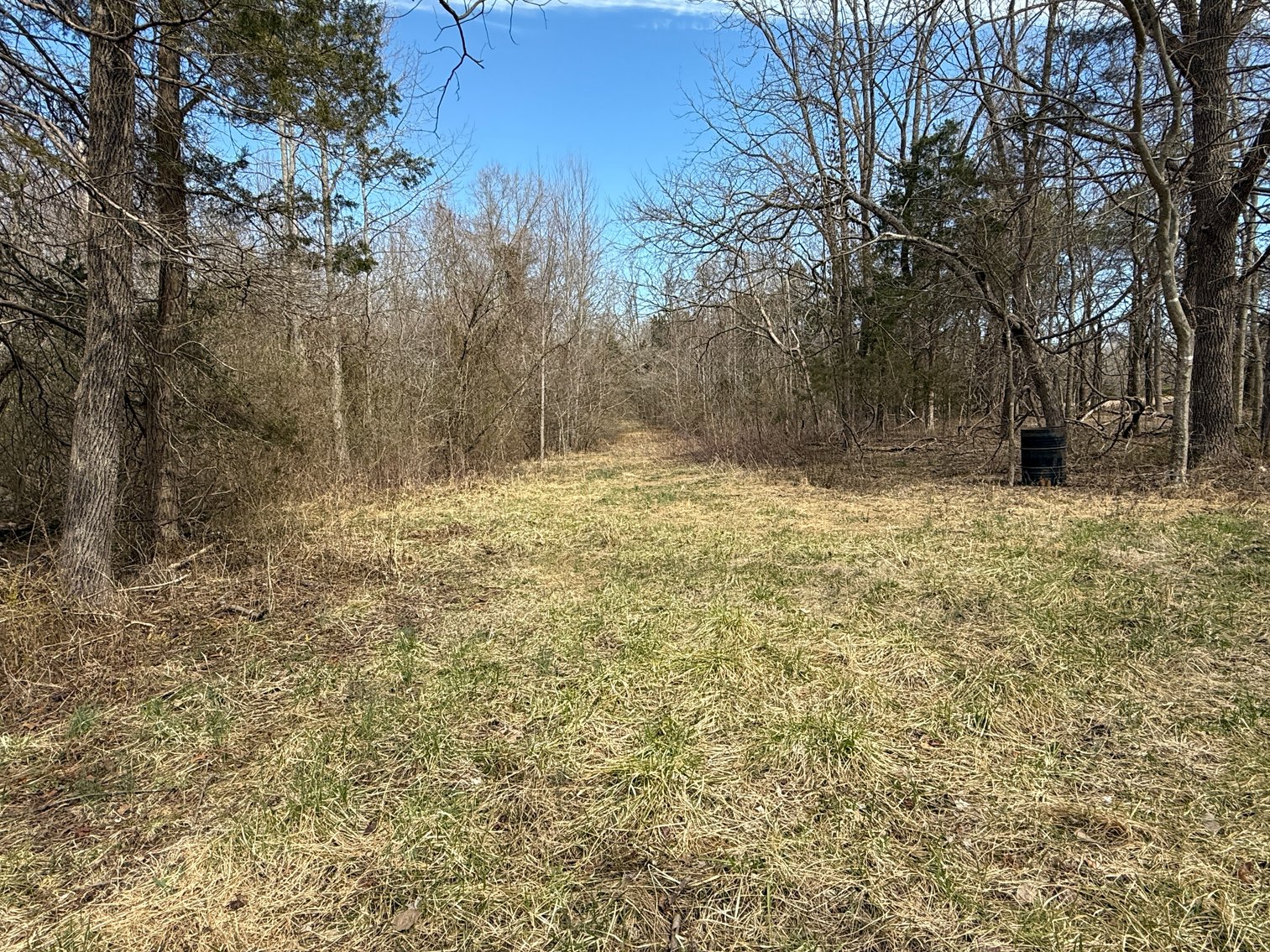 Image for 50 +/- Acre Estate Building Lot in Spotsylvania County, VA-- SELLING to the HIGHEST BIDDER via ONLINE ONLY BIDDING!!