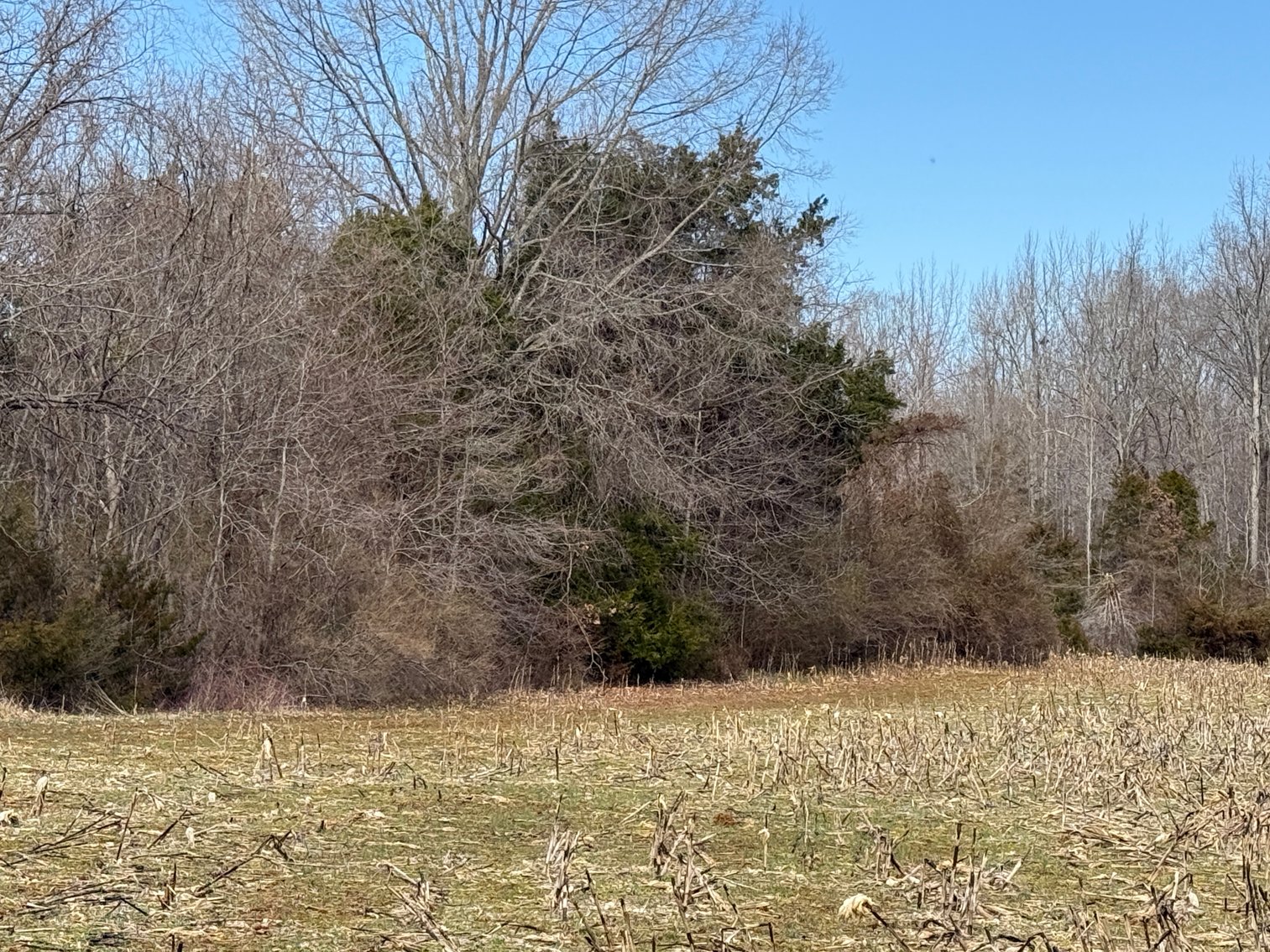 Image for 15.12 +/- Acre Estate Building Lot in Spotsylvania County, VA-- SELLING to the HIGHEST BIDDER via ONLINE ONLY BIDDING!!