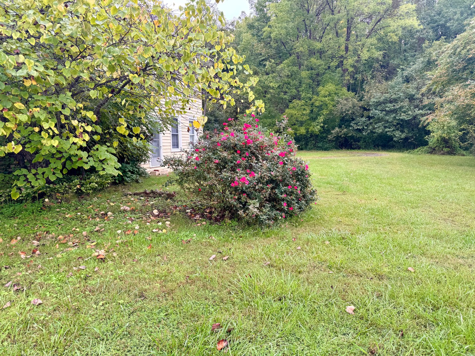 Image for 4 BR/2 BA Riverfront Home on 1.9 +/- Acres w/Upgraded Dock & Bulkhead Only Minutes From NSWC Dahlgren--King George County, VA