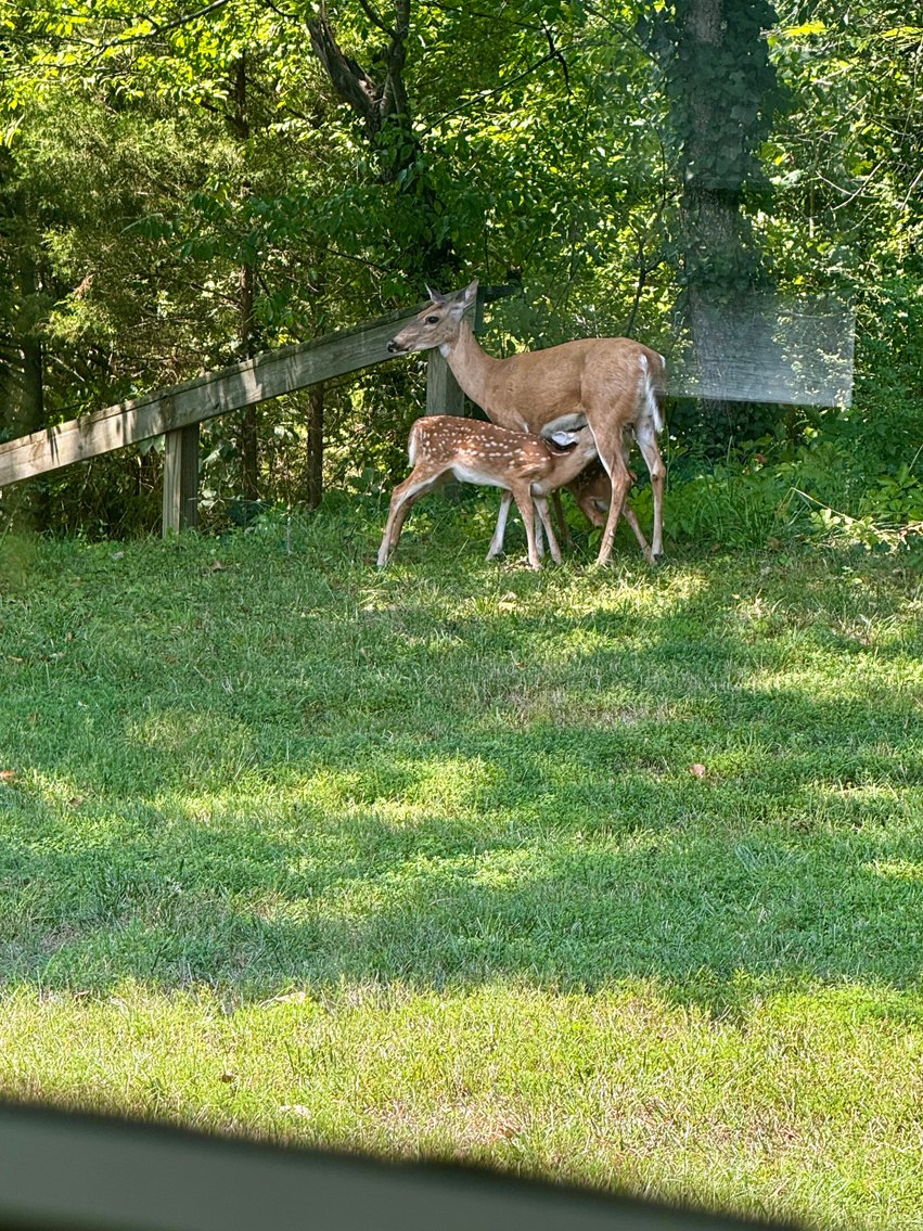 Image for 4 BR/2 BA Riverfront Home on 1.9 +/- Acres w/Upgraded Dock & Bulkhead Only Minutes From NSWC Dahlgren--King George County, VA