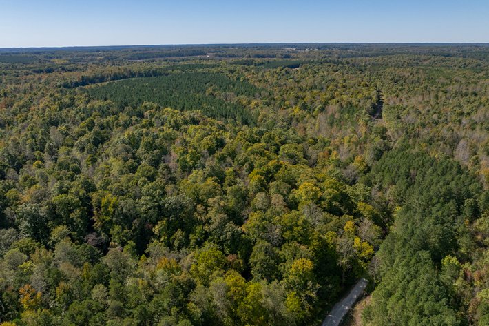 Image for 102 +/- Acre Timber Tract w/Large Amount of Frontage on 2 Roads--Lunenburg County, VA