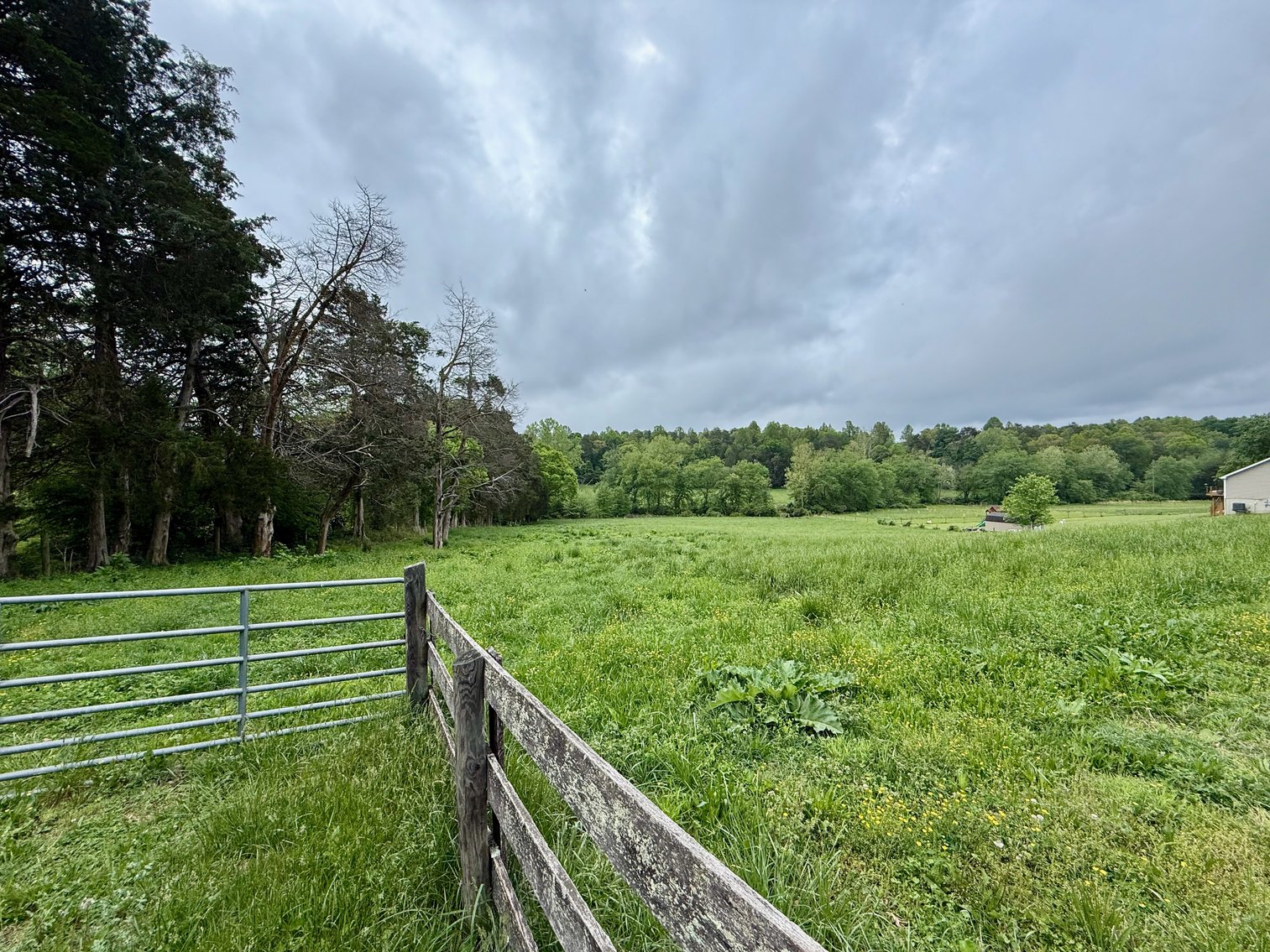 Image for 6.32 +/- Acre Land Parcel w/Road Frontage & Partial Fencing in Orange County, VA--SELLING to the HIGHEST BIDDER!!