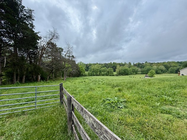 Image for 6.32 +/- Acre Land Parcel w/Road Frontage & Partial Fencing in Orange County, VA--SELLING to the HIGHEST BIDDER!!